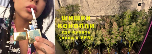 дурь Алзамай