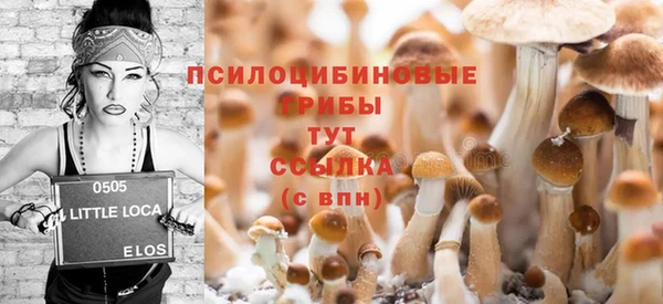 дурь Алзамай