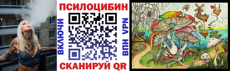 KRAKEN как войти Билибино Галлюциногенные грибы мицелий